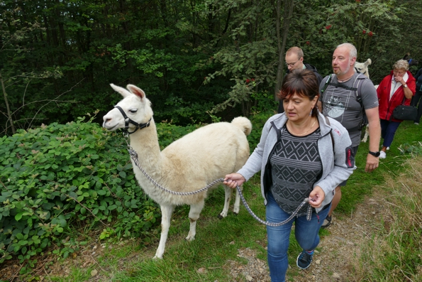 Zurck zur bersicht